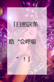 日照这条路“会呼吸”！